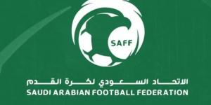 اتحاد الكرة يحدد 25 لاعبًا بالقائمة و8 لاعبين أجانب لأندية روشن - هرم مصر