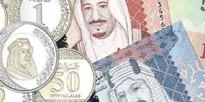 سعر الريال السعودي اليوم السبت 10-5-2025 فى مصر - هرم مصر