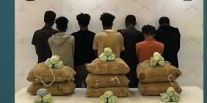 في 4 مناطق.. ضبط 16 شخصا بتهمة تهريب وترويج المخدرات - هرم مصر