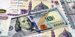 تباين سعر الدولار اليوم مقابل الجنيه في البنوك المصرية - هرم مصر