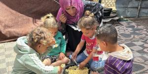 منظمة الفاو: غزة دخلت مرحلة المجاعة واحتمال تفشي الأوبئة - هرم مصر