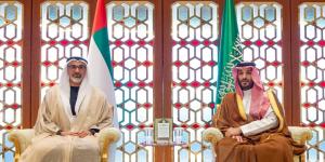 ولي العهد يستعرض مجالات التعاون المشترك مع ولي عهد أبوظبي - هرم مصر