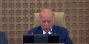 بيان ختامي مرتقب للقمة الاستثنائية في بغداد يؤكد دعم قضايا العرب المركزية - هرم مصر