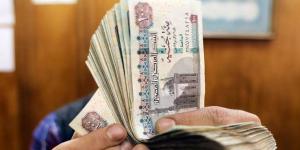 الرقابة المالية: 30 مليار جنيه أقساط تأمينية خلال 3 أشهر - هرم مصر