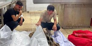 مجــ.ـزرة جديدة في غزة.. 13 شهيدا جراء قصف خيمة نازحين بخان يونس - هرم مصر