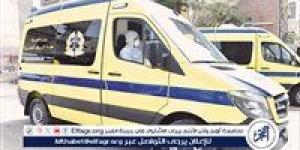 إصابة 11 شخصًا في تصادم مروع بين ملاكي وميكروباص بطريق بحيرة قارون بالفيوم - هرم مصر