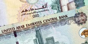 سعر الدرهم الإماراتي مقابل الجنيه المصري اليوم السبت 31 مايو 2025 وفقا لآخر تحديث - هرم مصر
