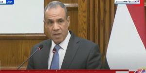 وزير الخارجية: ضرورة العمل على إدخال مزيد من المساعدات ووقف نزيف الدم في غزة - هرم مصر