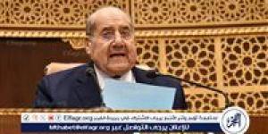 مجلس الشيوخ يحيل 3 طلبات مناقشة عامة للجنة الطاقة والبيئة - هرم مصر
