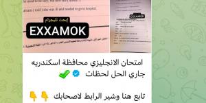 في يومها الأخير .. تداول امتحانات الشهادة الإعدادية على جروبات شاومينج بتليجرام - هرم مصر