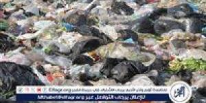 خبير بيئي يُحذر من مخاطر الأكياس البلاستيكية: "بتعيش 550 سنة" (فيديو) - هرم مصر