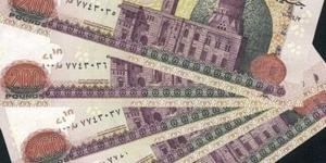 1500 جنيه.. خطوات التسجيل بمنحة العمالة غير المنتظمة 2025 - هرم مصر