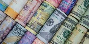 أسعار العملات في مصر اليوم الاربعاء - هرم مصر