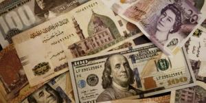 البنك المركزي: 48.526 مليار دولار صافي احتياطي النقد الأجنبي في مصر بنهاية مايو - هرم مصر