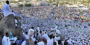 أمين الفتوى: الوقوف على عرفة تذكير بالعرض أمام الله في يوم الحساب - هرم مصر