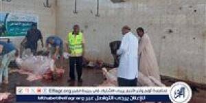 ذبح آمن واستعدادات مكثفة.. مجازر قنا في حالة طوارئ - هرم مصر