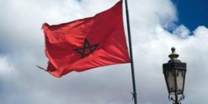 المغرب نائبا لرئيس الفريق الدولى لخبراء الإنتربول فى الجرائم السيبرانية - هرم مصر