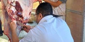 ذبح 2202 أضحية للمواطنين بمجازر الجيزة خلال اليوم الأول والثاني لعيد الأضحى - هرم مصر