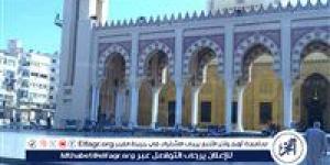محافظ الغربية يتابع أعمال النظافة بعد انتهاء اجازة عيد الأضحى - هرم مصر