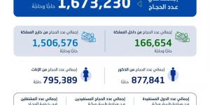 هيئة الإحصاء: إجمالي أعداد المشتغلين في موسم حج 1446هـ بلغ (420,070) مشتغلًا لخدمة (1,673,230) حاجًّا وحاجَّة - هرم مصر