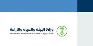 مسالخ نجران تستقبل 6500 أضحية خلال أيام عيد الأضحى - هرم مصر