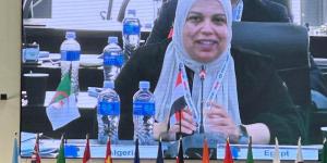 وفد وزارة التعليم العالي يشارك في اجتماع G20 البحثي بجنوب أفريقيا - هرم مصر