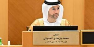 من أين جاءت إيرادات الحكومة الاتحادية للإمارات في 2024؟ - هرم مصر