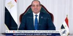 عاجل- السيسي يناقش مع مؤسسة التمويل الدولية دعم القطاع الخاص في ظل الأزمات الإقليمية - هرم مصر