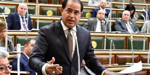 نائب: الرئيس السيسي صمد أمام كل التحديات في ظل ظروف اقتصادية صعبة - هرم مصر