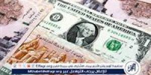 سعر الدولار اليوم مقابل الجنيه المصري بالبنوك بعد آخر تحديث رسمي - هرم مصر