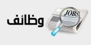 وظائف خالية بالهيئة العامة للموانئ.. قدم الآن - هرم مصر