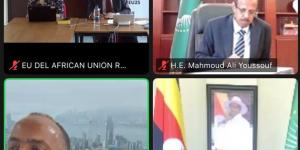 مصر تجدد دعمها لاستقرار الصومال خلال اجتماع وزاري إفريقي رفيع المستوى - هرم مصر