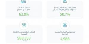 الإحصاء: ارتفاع معدل إشغال الغرف في الفنادق خلال الربع الأول من 2025 بنحو 63% - هرم مصر