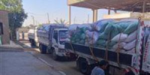 محافظة بني سويف: توريد 282 ألف طن قمح للشون والصوامع - هرم مصر
