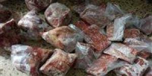 ضبط 418 كيلو لحوم ودواجن وأسماك فاسدة قبل ترويجها في الغربية - هرم مصر