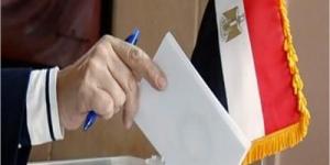 مجلس الشيوخ.. تقدم 19 مرشحا لخوض الانتخابات في البحيرة حتى الآن - هرم مصر