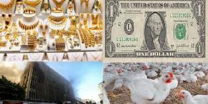 الصحة تعلن حصيلة ضحايا حريق سنترال رمسيس.. ومفاجأة بشأن أسعار الذهب والدولار.. أخبار التوك شو - هرم مصر