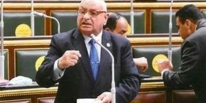 في ختام دور الانعقاد الخامس.. برلماني: هدفنا «أغلبية ومعارضة» مصلحة الوطن والمواطن - هرم مصر