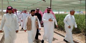 بيئة القطيف تحتفي باليوم الدولي لغابات المانجروف - هرم مصر