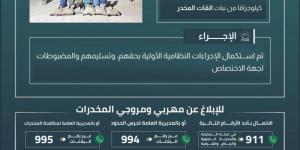 القبض على 6 مخالفين بجازان لتهريبهم 90 كلجم من نبات القات - هرم مصر