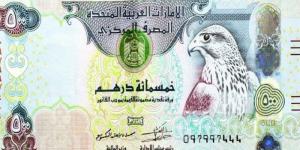 سعر صرف الدرهم الاماراتى امام الجنيه فى البنوك المصرية اليةم الاربعاء 10 سبتمبر 2025 - هرم مصر