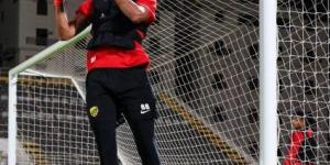 البديل المثالي لتعويض غياب رايكوفيتش في الدوري - هرم مصر