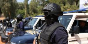 ضبط (292) قضية مخدرات وتنفيذ (62) ألف حكم قضائي خلال 24 ساعة - جريدة هرم مصر