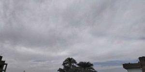 أمطار ورياح وبرودة.. تفاصيل حالة الطقس اليوم الثلاثاء 20 يناير 2026 - جريدة هرم مصر