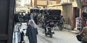 أجراس تائهة في زحام المدينة.. أزمة الحنطور إرث يلفظ أنفاسه في شوارع بني سويف - جريدة هرم مصر