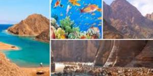 تفاصيل تطبيق منظومة ذكية لإدارة المخلفات بمحميات مصر - جريدة هرم مصر