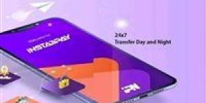 إنستاباي 2026: تحول جذري في التحويلات الرقمية وتسهيل إدارة الأموال للمصريين - جريدة هرم مصر