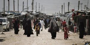 الدفاع السورية تعلن الجاهزية الكاملة لاستلام مخيم الهول وسجون "داعش" وتطالب "قسد" بتنفيذ الاتفاق - جريدة هرم مصر