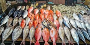 أسعار الأسماك اليوم الثلاثاء 20 يناير 2026 - جريدة هرم مصر