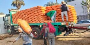 «الزراعة» تُكثف حملاتها الرقابية بقنا لضمان وصول الأسمدة المدعمة لمستحقيها - جريدة هرم مصر